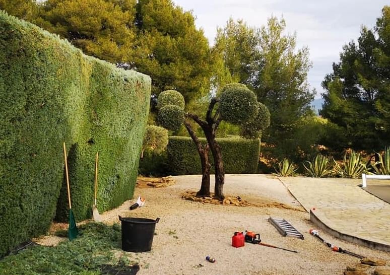 Tarif paysagiste création jardin Six-Fours-les-Plages