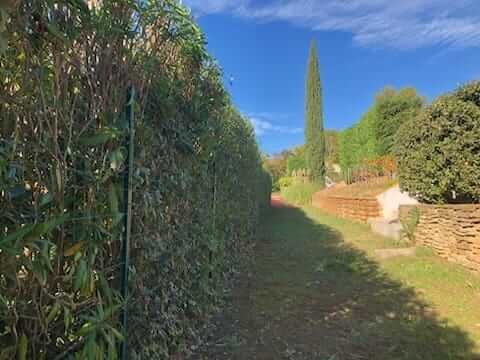 Taille de haies à La Cadière d'Azur