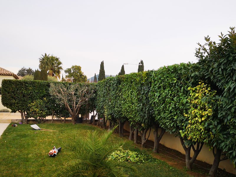 Création de jardin minimaliste Saint-Cyr-sur-Mer