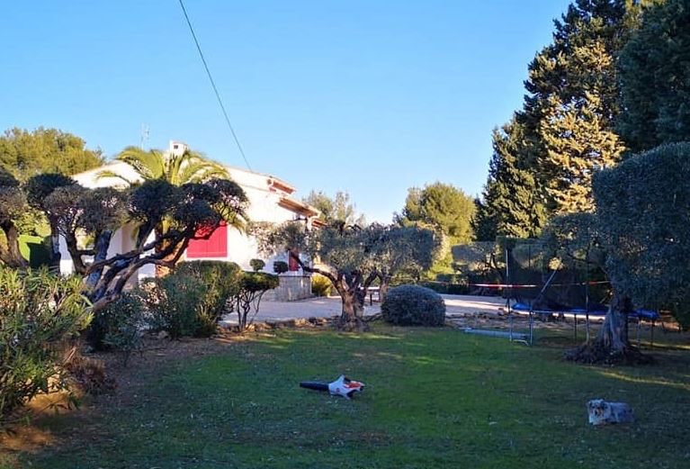 Rognage et extension souche La Cadière-d'Azur